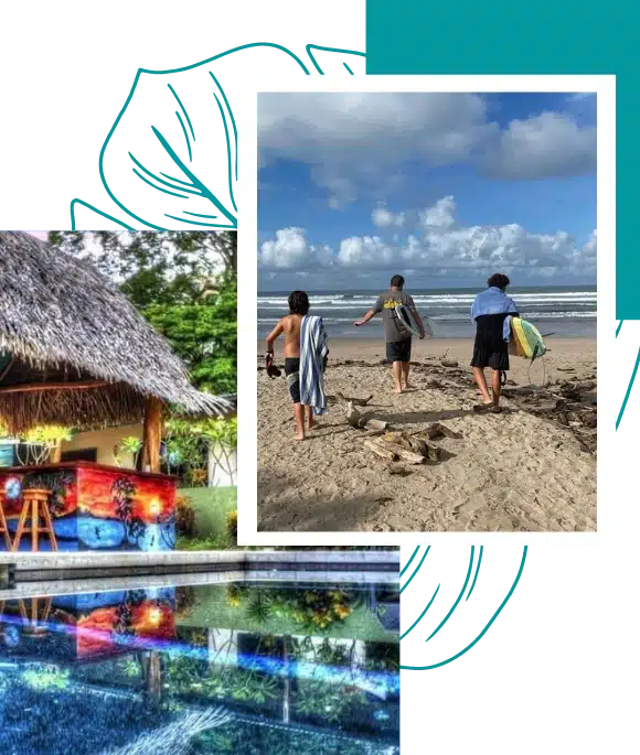 about aloha surf nosara