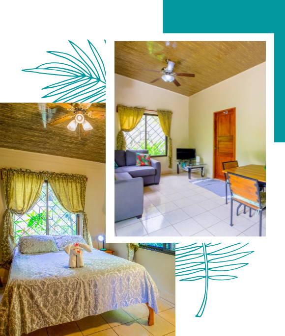 casa mango nosara