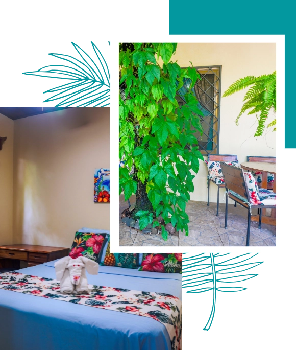 casa ohana rental nosara